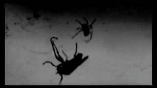 Leviathan - History of Rape