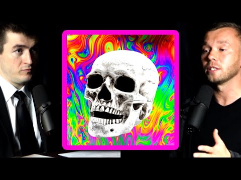 Psychedelics and the fear of death | Wojciech Zaremba and Lex Fridman