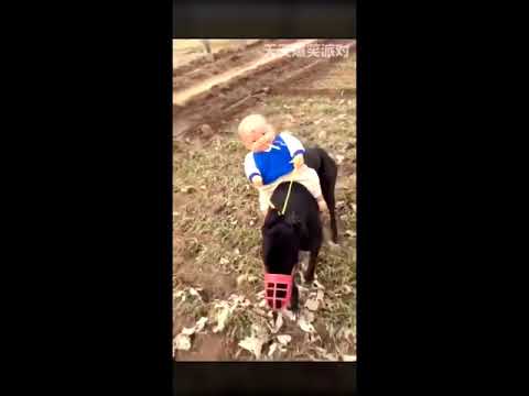 THATS MY HORSE - CHRIST DILLINGER (PROD.WENDIGO)