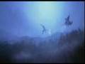 The Flashbulb - Dishevel