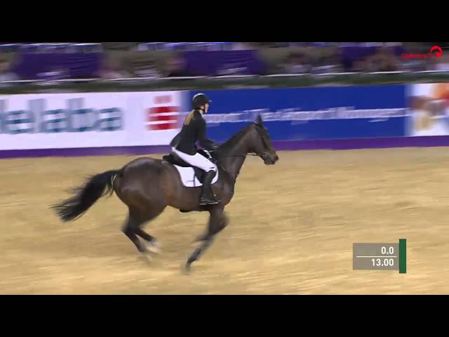 Mother of the foal Ecclestone RZ is the CSI 1.55m jumping mare Chloe with rider Janne Friederike Meyer.
