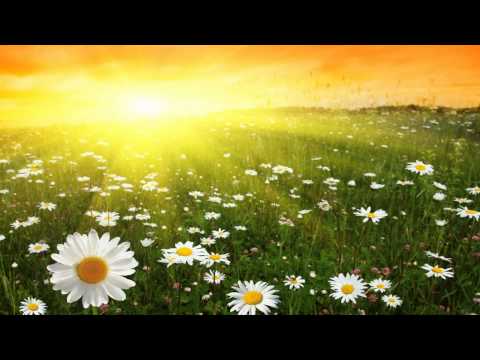 Ronny K. vs Vasaio ft Jakub Hubner - I'm Missing You