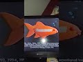 Closing To Rugrats Tommy Troubles 1996 VHS
