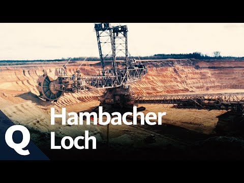 Die Geschichte und Zukunft des Hambacher Lochs und Hambacher Forsts | Quarks