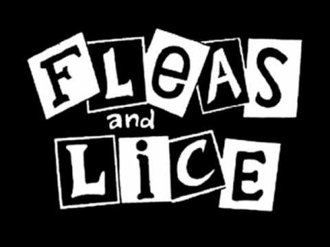 Fleas and Lice - Living for pleasure not for pain