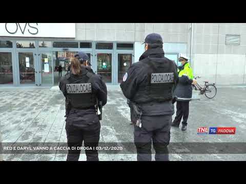RED E DARYL VANNO A CACCIA DI DROGA | 03/12/2020