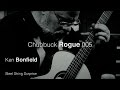 Ken Bonfield :: Chubbuck Rogue 005 :: Steel String Surprise