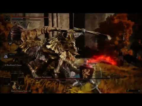 Bloodhound Fang vs. Draconic Tree Sentinel - Fast Kill