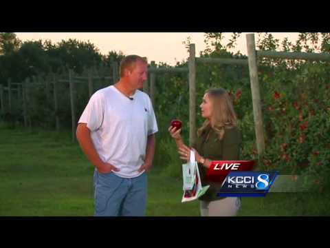 download lagu mp3 mp4 Apple Orchards Near Des Moines, download lagu Apple Orchards Near Des Moines gratis, unduh video klip Apple Orchards Near Des Moines
