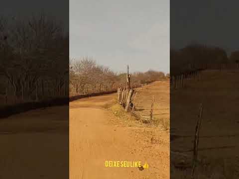 área rural de Estrela de Alagoas. AL