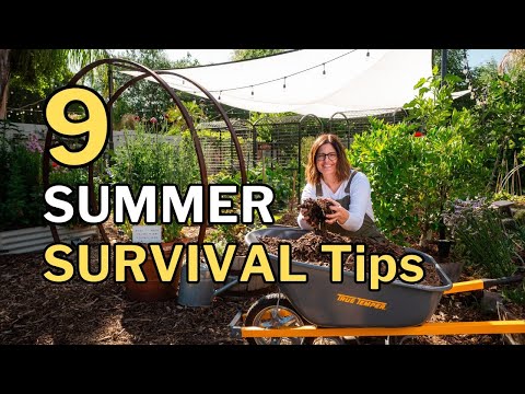 Keep Your Garden Alive in EXTREME HEAT: 9 Summer Survival Tips