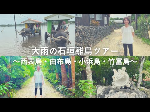 芸術・表現行動学科 【大雨】石垣離島ツアー 安栄観光で西表島・由布島・小浜島・竹富島へ！雨でも感動！