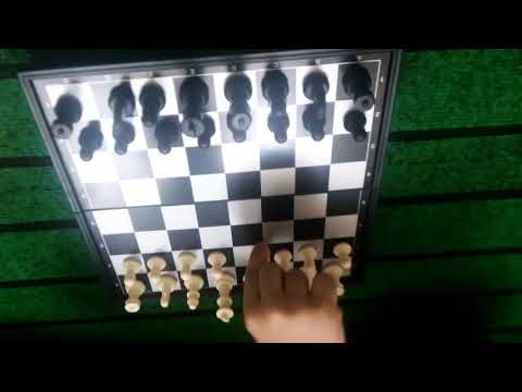 Cavid vs Nicat!#1:Şahmat oynadıq