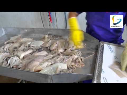 [그랜드벨] Squid Processing line (GB175 Squid belly opening machine),(GB400SQ Squid skinner)