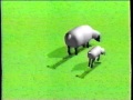 Sesame Street Sheep Make The Letter I