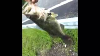 preview picture of video 'Bass fishing Middletown NY....#2'