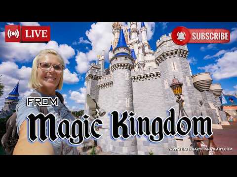 Live webcam of That Crazy Disney Lady