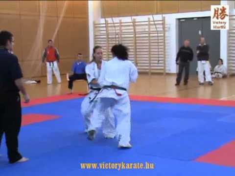 IV. Tigris Dojo Mikulás Kupa 2010, Aniko Szabo vs. Henrietta Farago , women +65kg