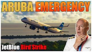 JetBlue 158 Takes a BIRD STRIKE After Takeoff From Aruba