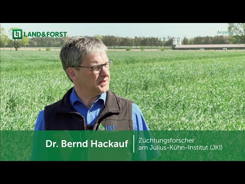 Saaten-Union: Efficiently into the future with hybrid rye | LAND & FORST I Expert discussion