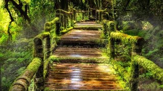 Download lagu Surah al Fatir ayat no 5 | beautiful recitation | please subscribe for more videos mp3 Download lagu Surah al Fatir ayat no 5 | beautiful recitation | please subscribe for more videos mp3