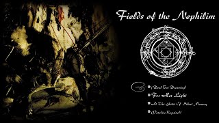 Fields Of The Nephilim - Dead But Dreaming/For Her Light/At The Gates.../Paradise Regained (lyrics)