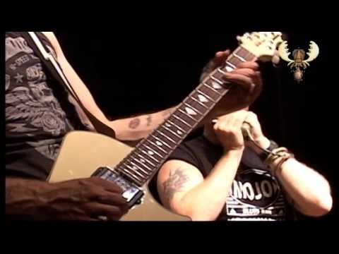 DVL - (Guy Forsyth with The Hoax) She's Dangerous - Live for Bluesmoose radio