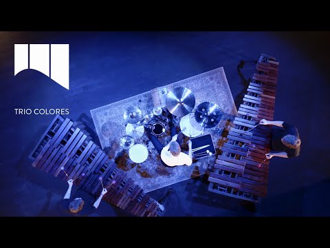 Catching Shadows - Ivan Trevino (*1983)