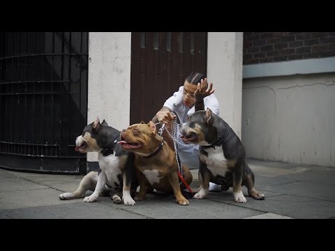 Central Cee feat. Freeze Corleone 667 - Bleuplay ( Clip Officiel )