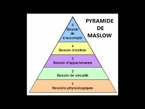 pourquoi la pyramide de maslow a une forme pyramidale