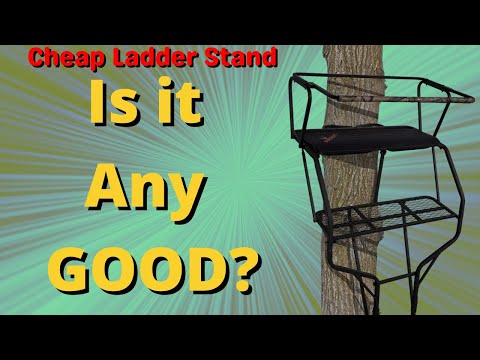 Affordable 2 person Ladder Stand for Hunting