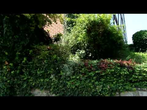 Lugagnano Val D'Arda - Immobile commerciale (cat. D/8) - Euro 1.300.000