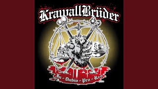 Music video thumbnail preview for Jungs wie Brüder by Krawallbrüder