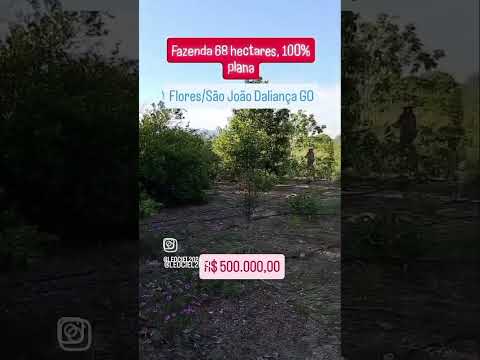 vende se, fazenda 68 hectares,100% plana, são João da aliança GO, 061 98665 2087