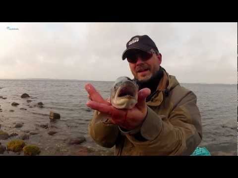 greys platinum xd fly rod for sale