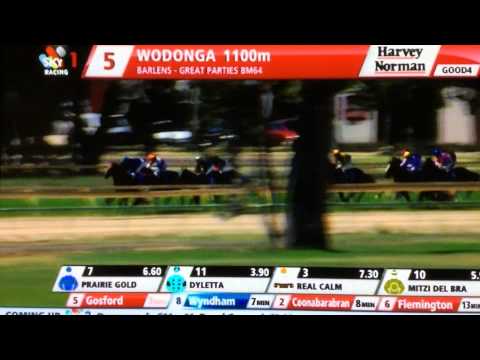 Race 5 Wodonga 21-2-2015. 3 Horse Fall on home turn.