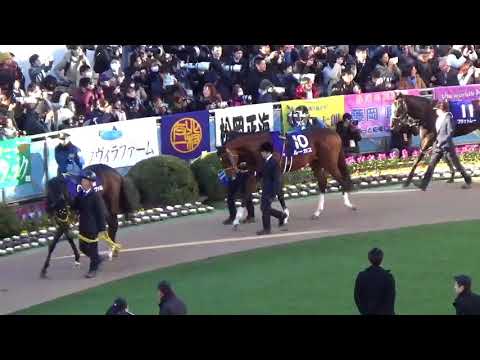 2017.12.28.G1.ホープフルステークス.パドック現地映像