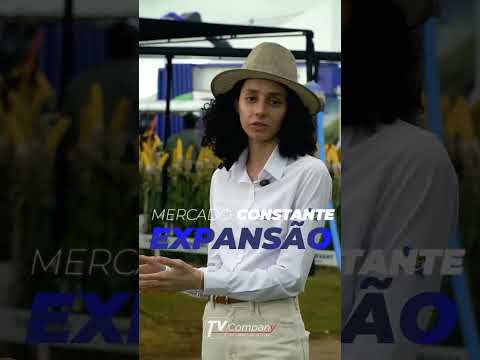 O crescimento do agro.