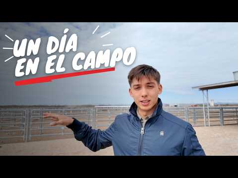El ingenio y el feedlot de mi familia en Salta.