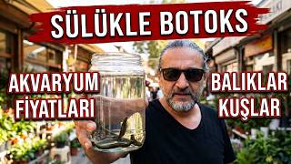 EMİNÖNÜ TARİHİ ÇİÇEKÇİLER PAZARINDA NELER VAR | Sülük Mucizesi, Akvary