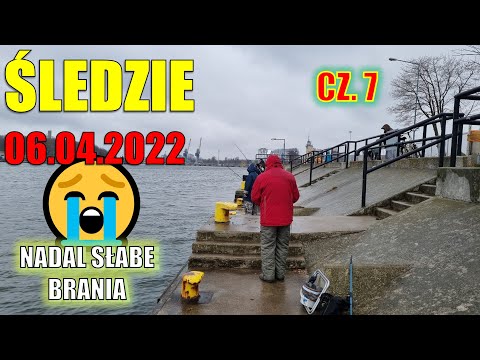 Śledzie cz. 7. Śledzi wciąż nie ma, są za to olbrzymie statki.