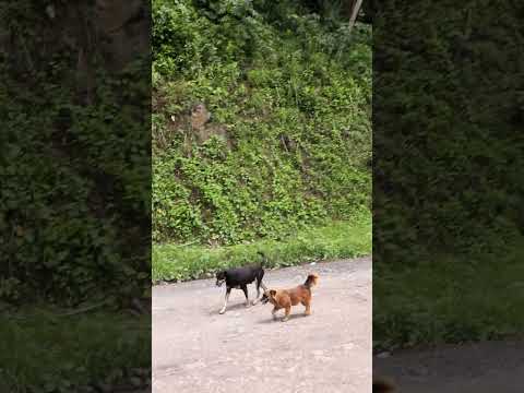 Otanche, Boyacá -  Canon EOS R100 -  18 - 45 mm. De Colombia para el mundo entero. Viajeros_en_foco.
