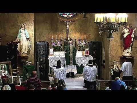 10:30am High Latin Mass - Dominica XX Post Pentecosten