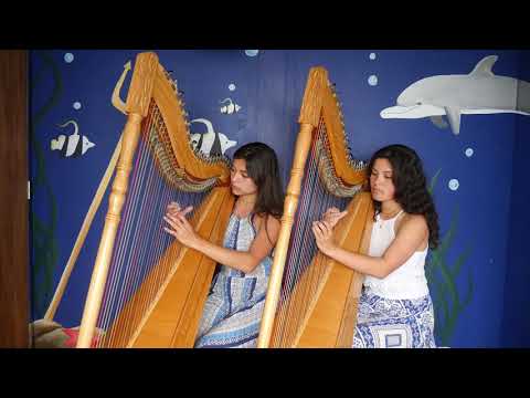 Merceditas - harp duo