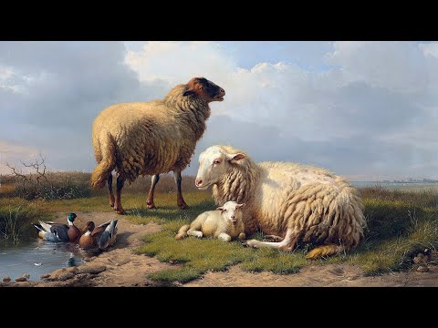 , title : 'Peins-moi un mouton'