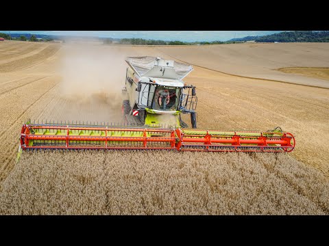 CLAAS LEXION 8900 13M80 de coupe😍🥵