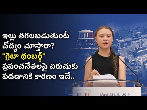 Inspiring story of Greta Thunberg in Telugu | fights against climate change | News6G