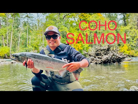 COHO SALMON RIVER FISHING//Campbell River