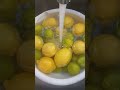 Lemon And Lime Lemon Lime Satisfying Asmr Viral Sounds Shorts