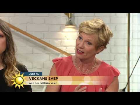 "Valseger som presenteras som en gigantisk förlust" - Nyhetsmorgon (TV4)